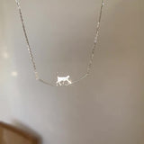 Šperk kocku lezce obojek