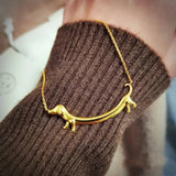 Šperk psa obojek barve